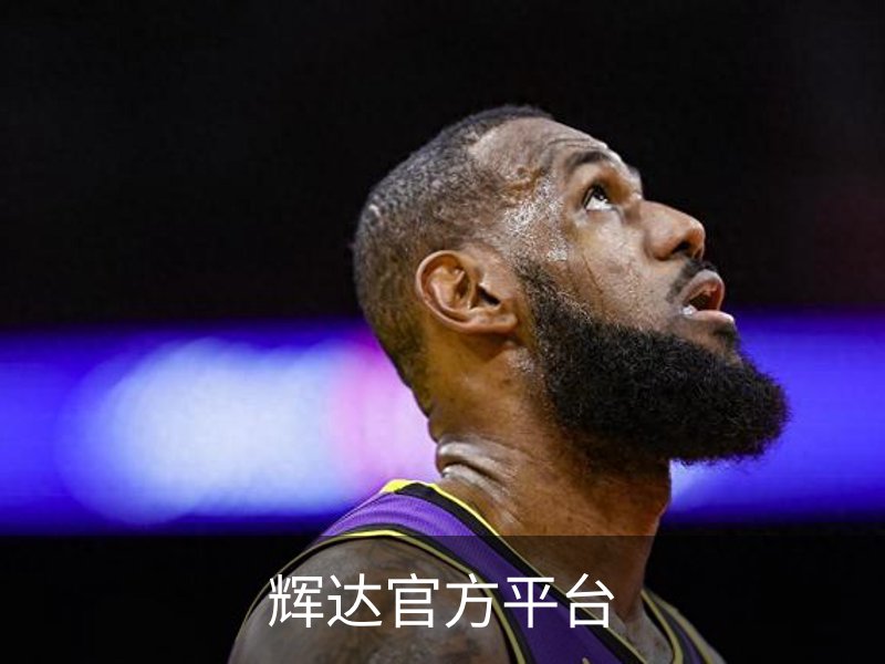 走进辉达官方平台